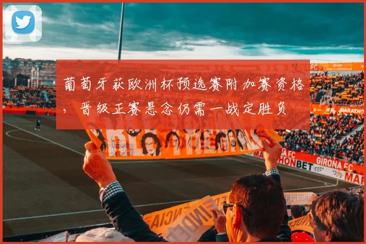 葡萄牙获欧洲杯预选赛附加赛资格，晋级正赛悬念仍需一战定胜负