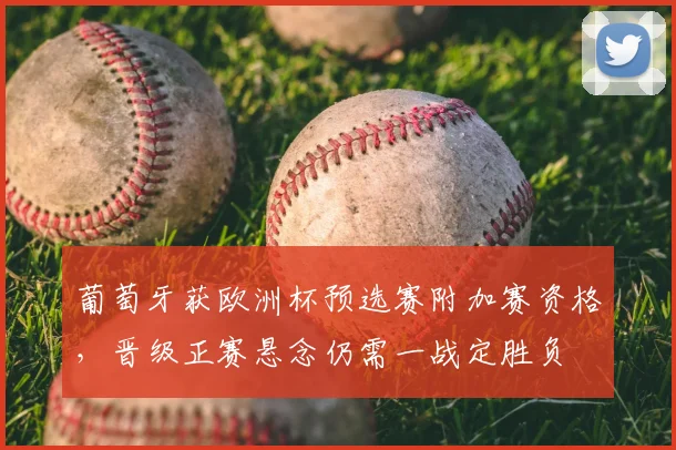 葡萄牙获欧洲杯预选赛附加赛资格，晋级正赛悬念仍需一战定胜负