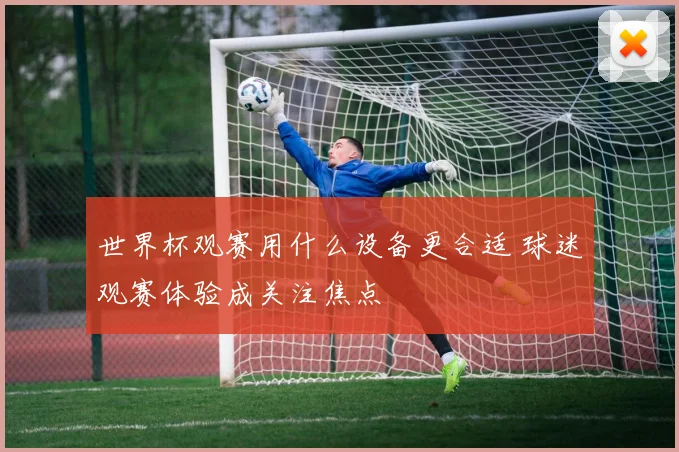世界杯观赛用什么设备更合适 球迷观赛体验成关注焦点