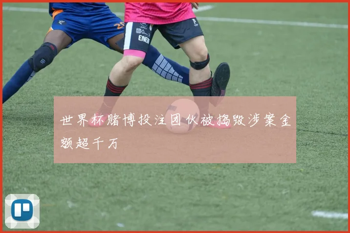世界杯赌博投注团伙被捣毁涉案金额超千万