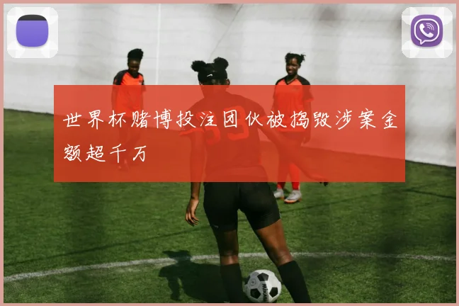 世界杯赌博投注团伙被捣毁涉案金额超千万