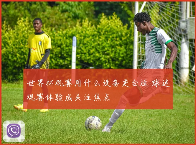 世界杯观赛用什么设备更合适 球迷观赛体验成关注焦点
