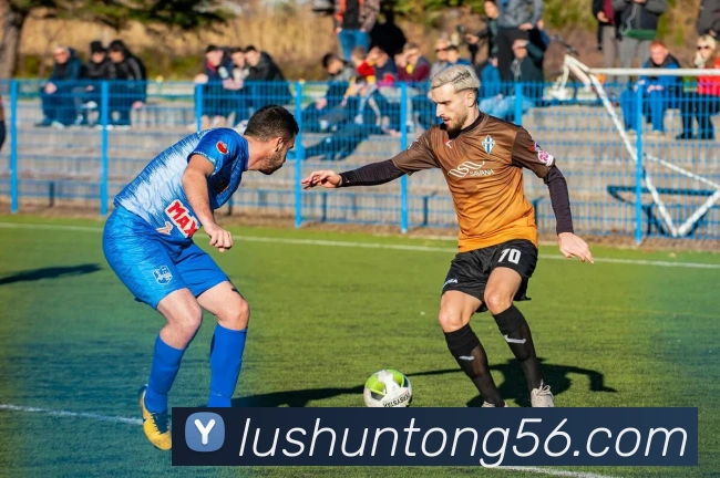 多媒体互动体验